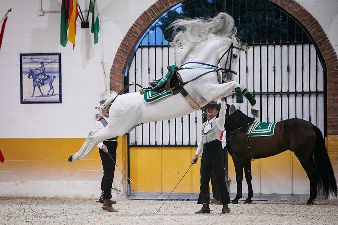 Horse and Flamenco Show in Malaga with Dinner - Dinner with Andalusian music from 8:10 to 9:15 p.m.