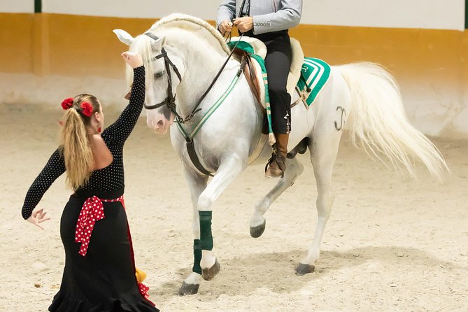 Horse and Flamenco Show in Malaga with Dinner - Who will enjoy this five-hour programme