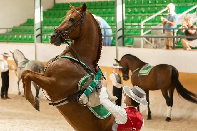 Horse and Flamenco Show in Malaga - Flamenco With Horses, Not a Full Flamenco Night