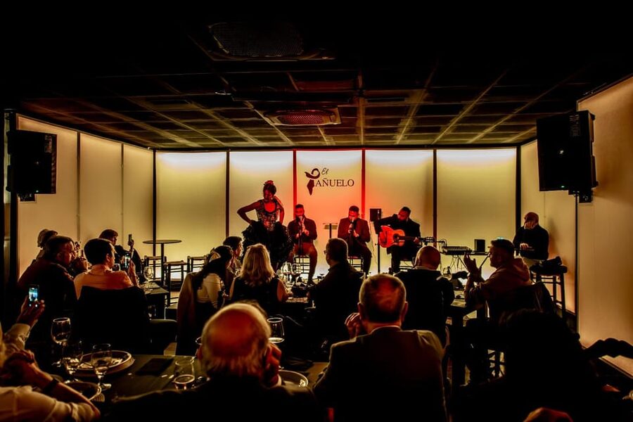 Live flamenco + tasting - The one-hour performance and its 10-minute break