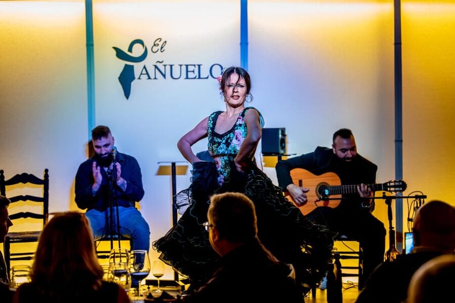 Live flamenco + tasting - Meeting the cast: voice, guitar, and two dancers