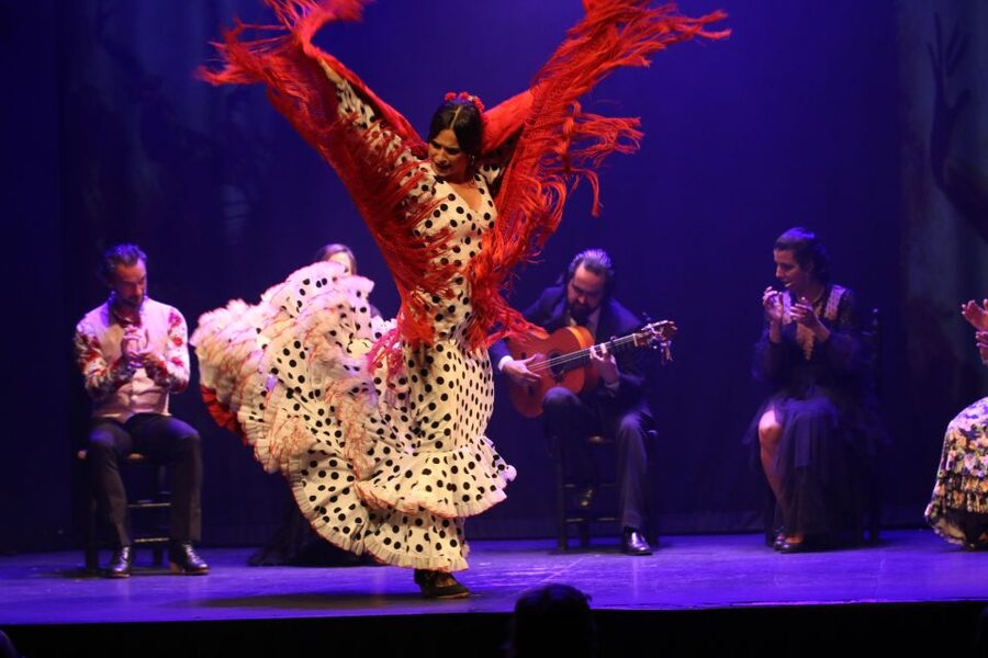 Madrid: "Emociones" Live Flamenco Performance - The welcome drink and service