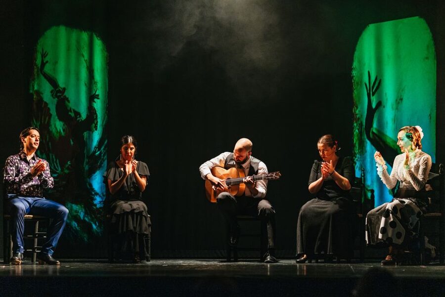Madrid: "Emociones" Live Flamenco Performance - The drawbacks you should consider