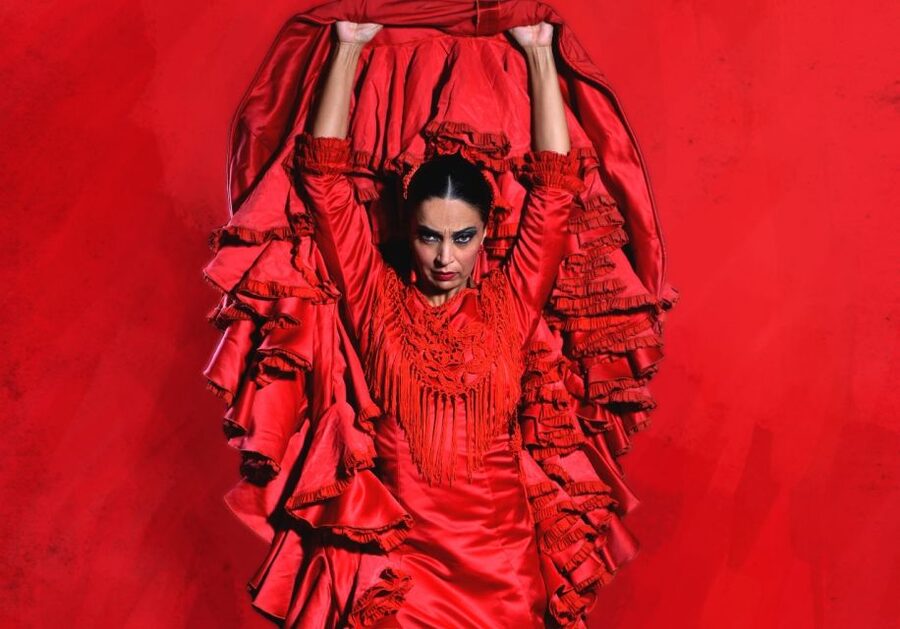 Madrid: "Emociones" Live Flamenco Performance - Who should book this Madrid flamenco show