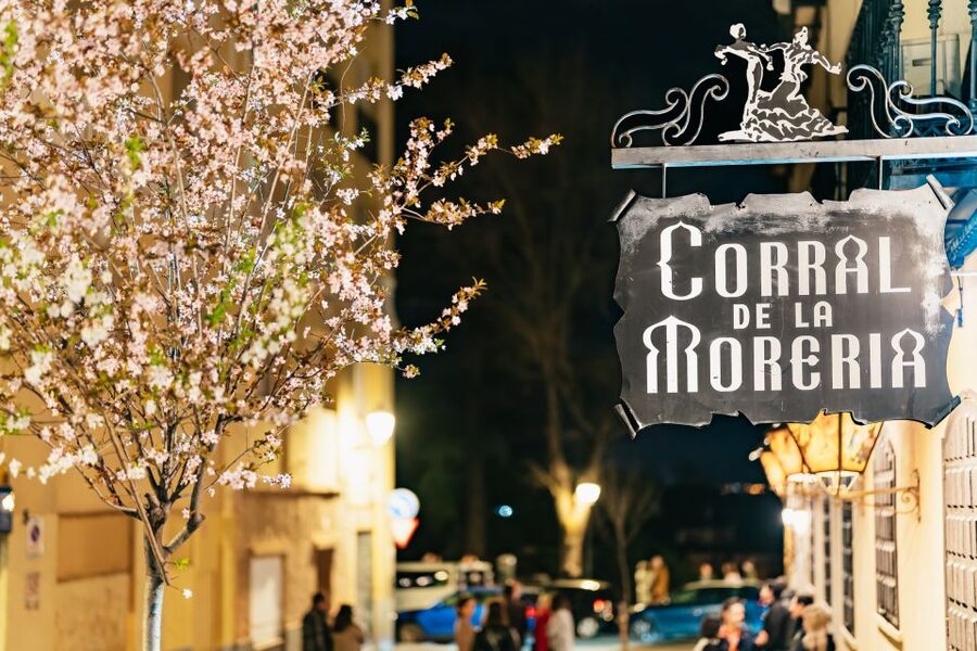 Madrid: Flamenco Show at Corral de la Moreria - Who will enjoy this experience most