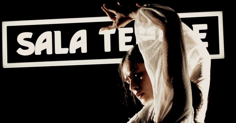 Madrid: Flamenco Show at Tablao Sala Temple with Drink - Key Points Before You Book