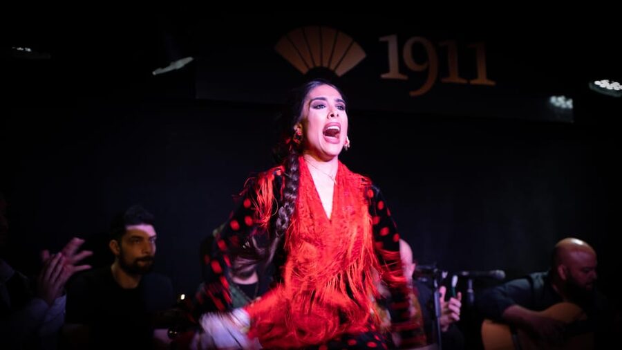 Madrid: Flamenco Show&Drink at Tablao 1911 (World's Oldest) - The one-hour performance, from guitar to footwork