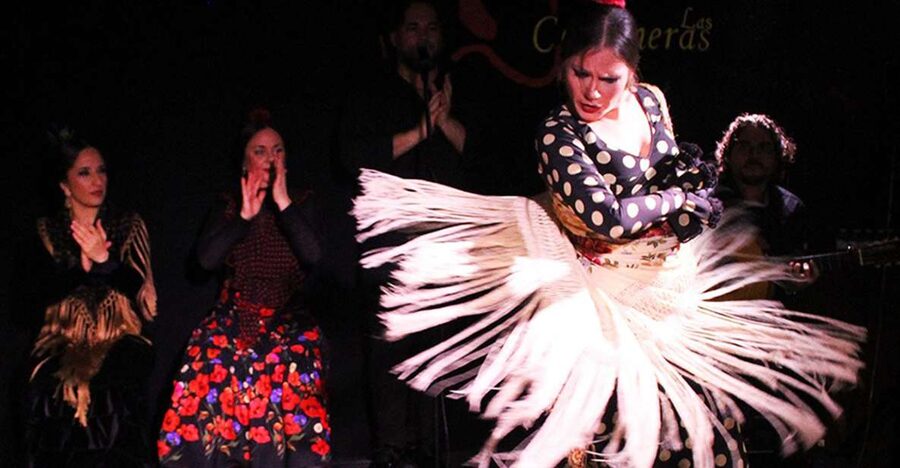 Madrid: Flamenco Show with Tapas and Wine Tour - Iberian ham, sausages, and a useful lesson in Spanish food