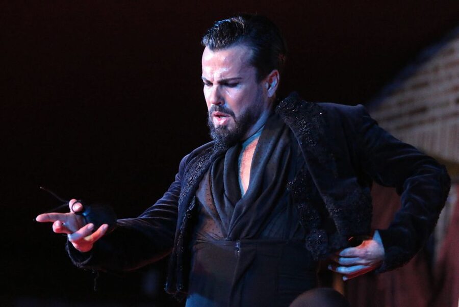 Madrid: Los Porches Flamenco Show with Tapas and Wine Ticket - Accessibility, cancellation, and booking notes