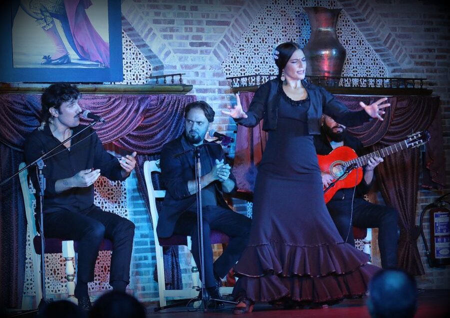 Madrid: Los Porches Flamenco Show with Tapas and Wine Ticket - Is $53 fair for the experience?