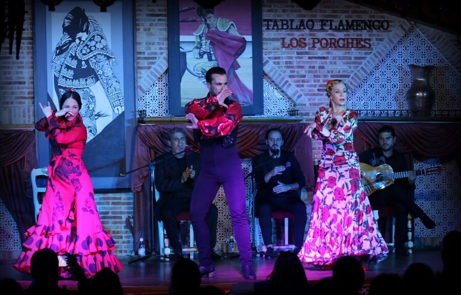 Madrid: Los Porches Flamenco Show with Tapas and Wine Ticket - Who will enjoy Los Porches most?