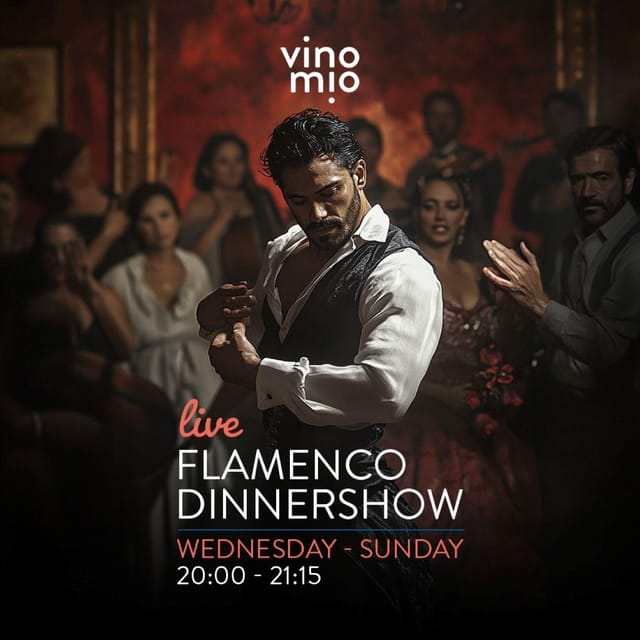 Malaga: Authentic Flamenco Dinner Show at Restaurant VinoMio - Key points to know before booking