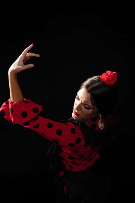 Malaga: Authentic Flamenco Dinner Show at Restaurant VinoMio - Why this Malaga flamenco show feels different