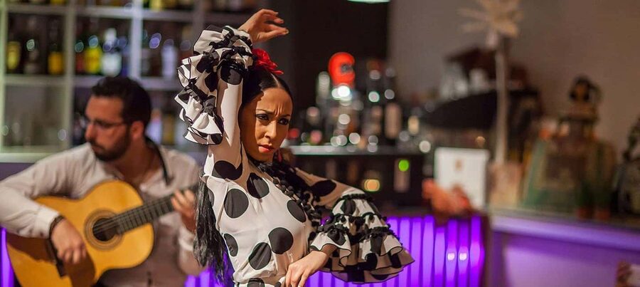 Malaga: Authentic Flamenco Dinner Show at Restaurant VinoMio - Who will enjoy this most