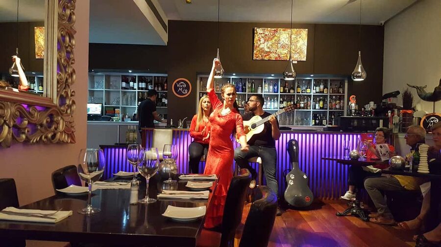 Malaga: Authentic Flamenco Dinner Show at Restaurant VinoMio - Is $11 good value?