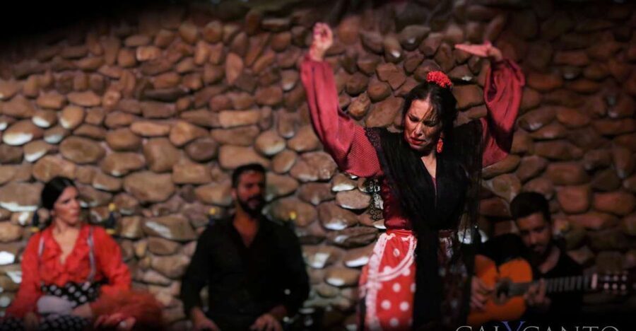 Malaga: Authentic Flamenco Show at El Gallo Ronco - The setting near Calle Larios