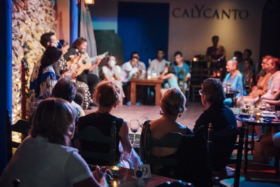 Malaga: Authentic Flamenco Show at El Gallo Ronco - Is $27 good value?