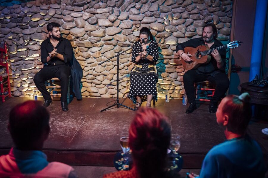 Malaga: Authentic Flamenco Show at El Gallo Ronco - How authentic is the performance?