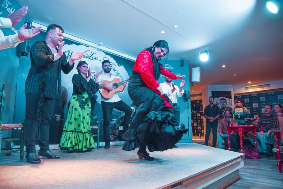 Malaga: Flamenco, Tapas, and Wine Tour - Key points to know before booking