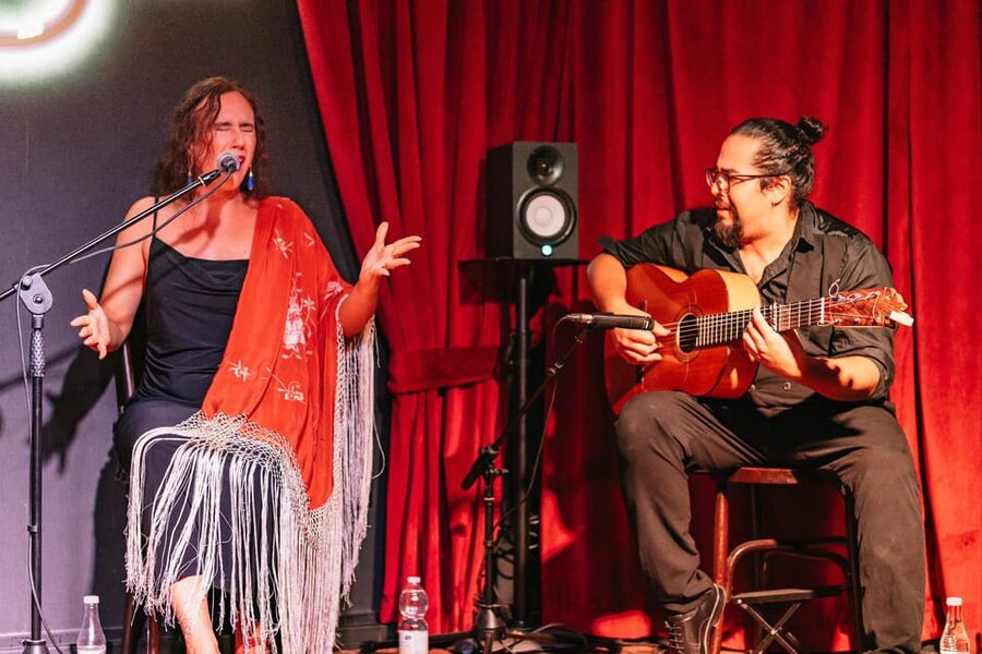 Málaga: Live Flamenco Show at Flamenco Alegría - Is $29 a fair price?