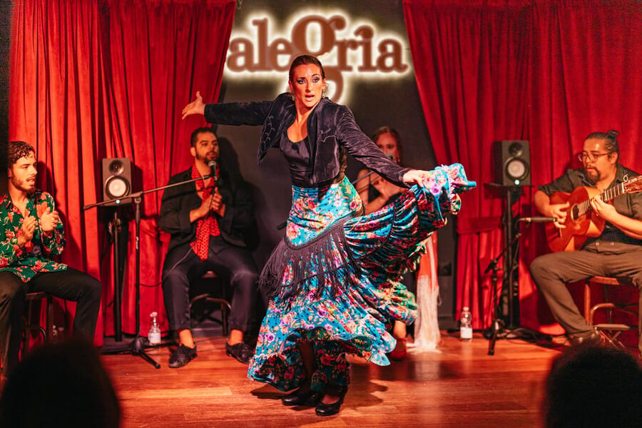 Málaga: Live Flamenco Show at Flamenco Alegría - Who will enjoy this performance most?