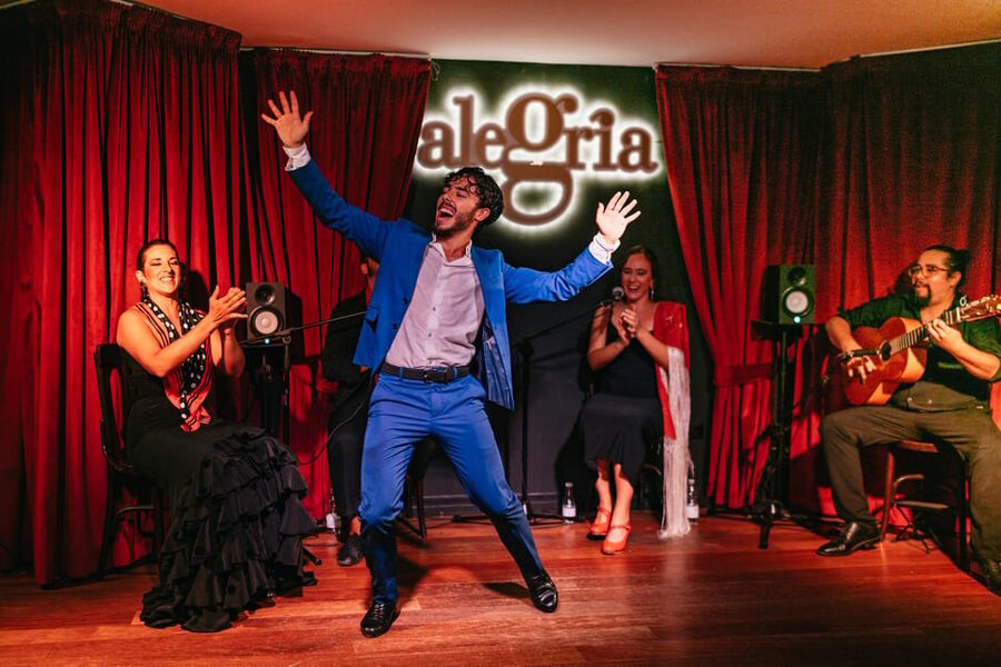 Málaga: Live Flamenco Show at Flamenco Alegría - Practical tips for a better evening