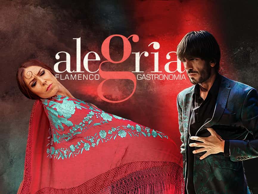 Málaga: Live Flamenco Show at Flamenco Alegría - Why the small room works so well