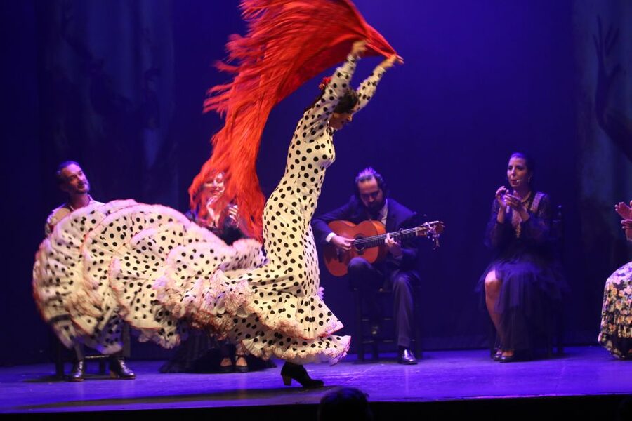 Malaga: Teatro Flamenco Malaga Live Flamenco Show - Why this Malaga flamenco show works so well