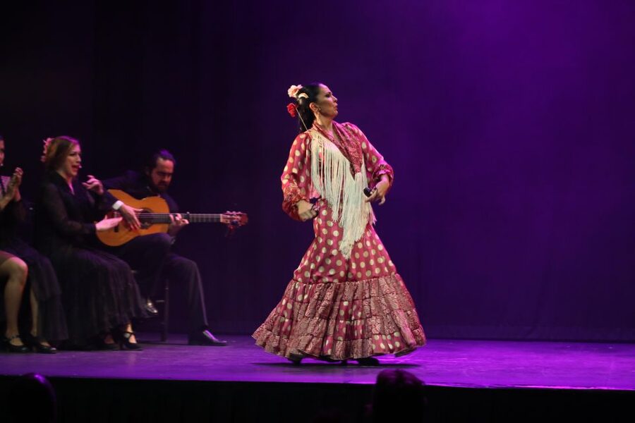 Malaga: Teatro Flamenco Malaga Live Flamenco Show - The opening moments: costumes, guitar, and silence