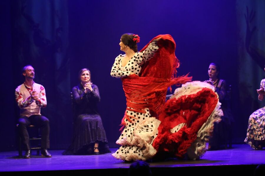Malaga: Teatro Flamenco Malaga Live Flamenco Show - Is $34 good value in Malaga?