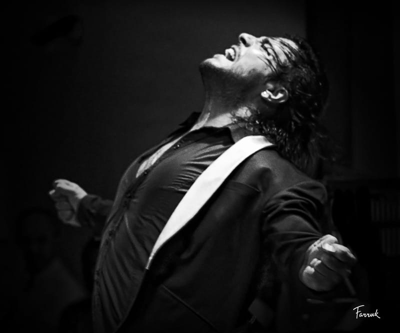 Mexico City: Flamenco Tablao Live Show & dinner - Should you book the Mexico City flamenco show?