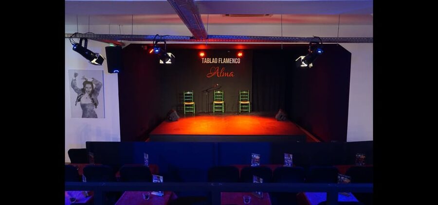 Palma: Flamenco Show at Tablao Flamenco Alma with Drink - Who will enjoy this most