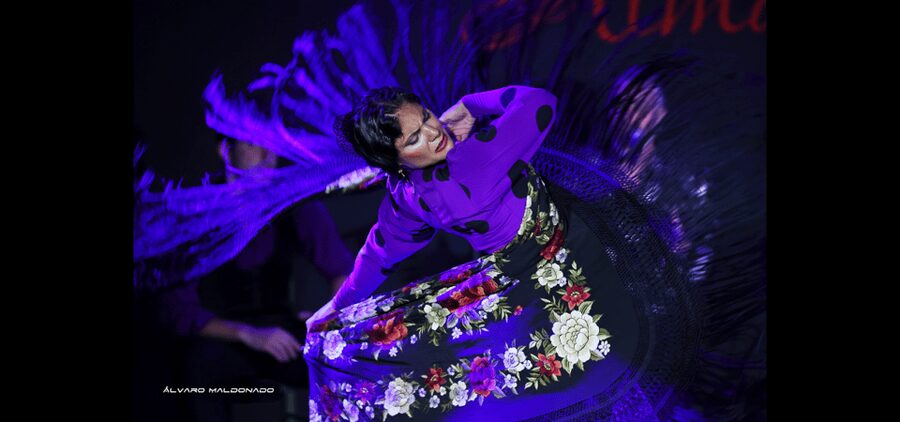 Palma: Flamenco Show at Tablao Flamenco Alma with Drink - Practical timing and booking advice
