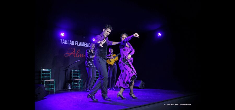 Palma: Flamenco Show at Tablao Flamenco Alma with Drink - Why the guitar and singing deserve your attention