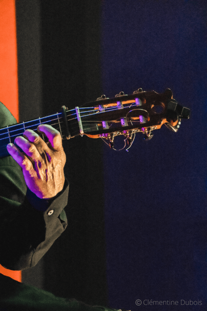 Sevilla: Flamenco Show at Tablao Álvarez Quintero - Who will enjoy this flamenco show most?