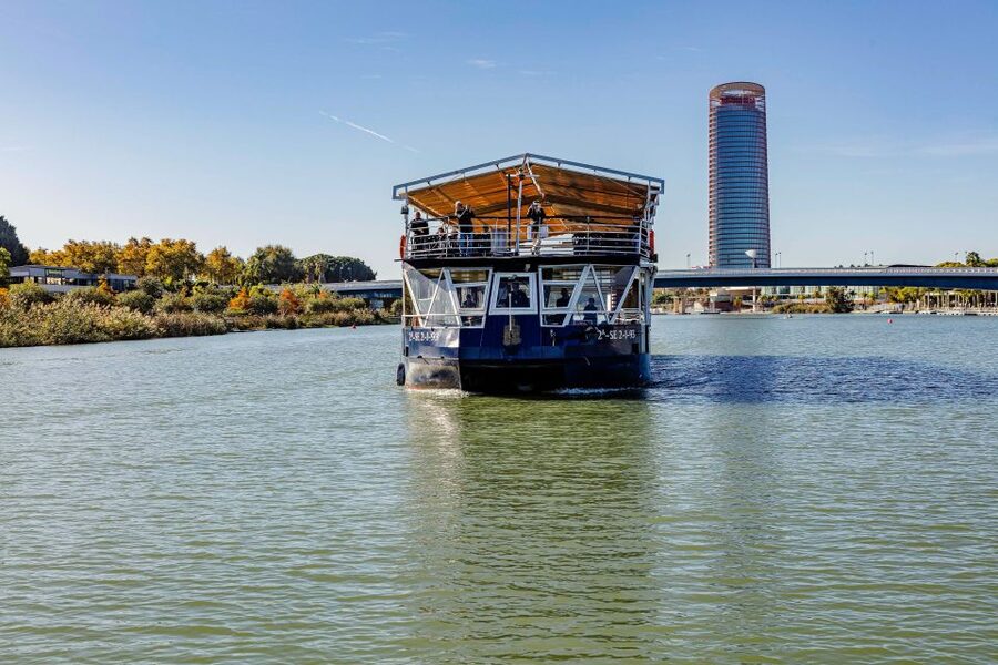 Sevilla: Hop-On Hop-Off & Walking Tours, Cruise & Flamenco - Who will get the most from this experience?