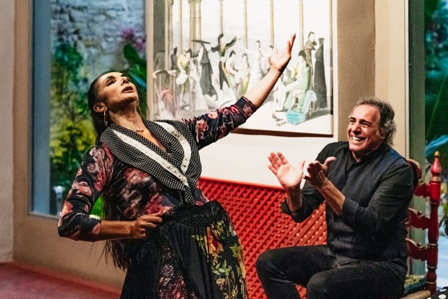 Seville: Casa de la Memoria Flamenco Show - A short show with plenty of intensity
