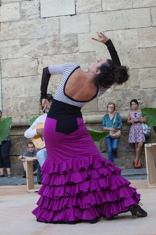 Seville: Enjoy a class of approach to flamenco - Learning From Luna and the Teaching Style