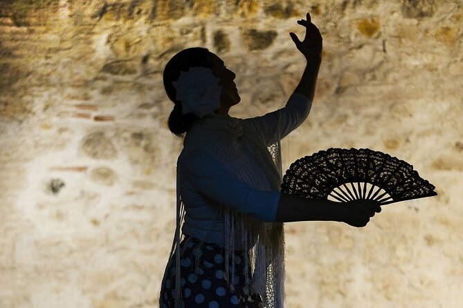 Seville Flamenco EBike Tour and Flamenco Show - Who will enjoy this most?