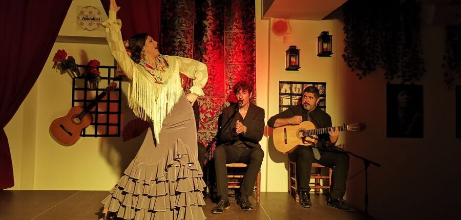 Seville: Flamenco Show at Tablao Flamenco Andalusí - Who Should Book This Experience?
