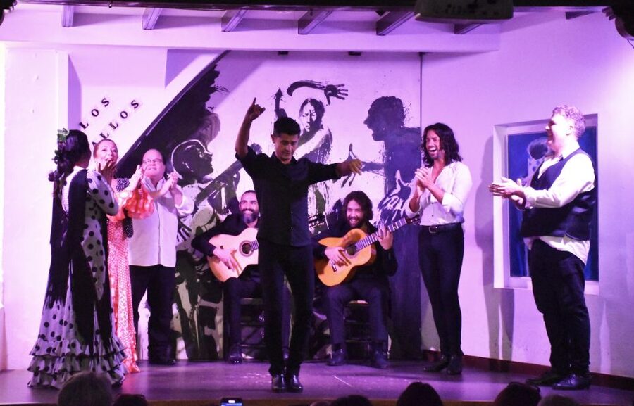 Seville: Flamenco Show at Tablao Los Gallos - Practical comfort and suitability