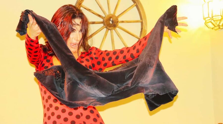 Seville: Flamenco Show & Cocktail Experience - How the price compares with the experience