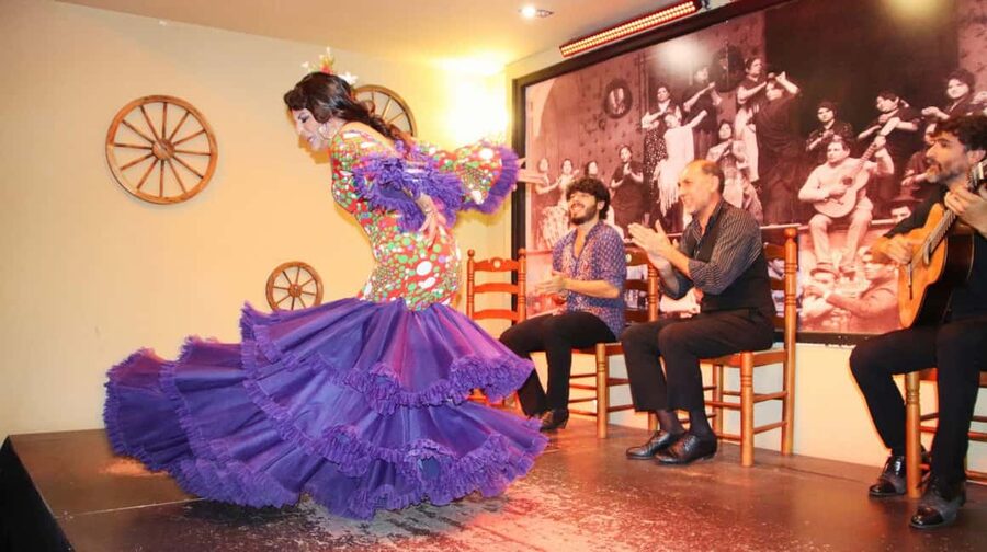 Seville: Flamenco Show & Cocktail Experience - Who will enjoy this experience most?
