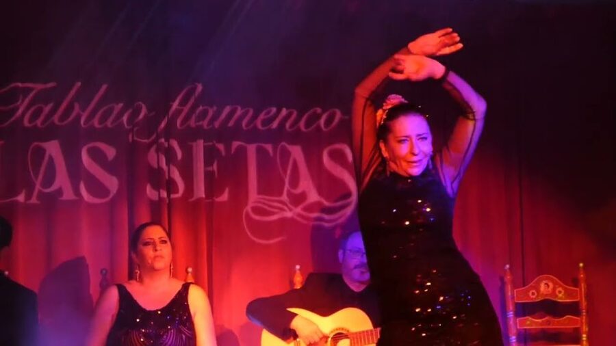 Seville: Flamenco Show & Roof Dinner with Cathedral Views - Five things to know before booking