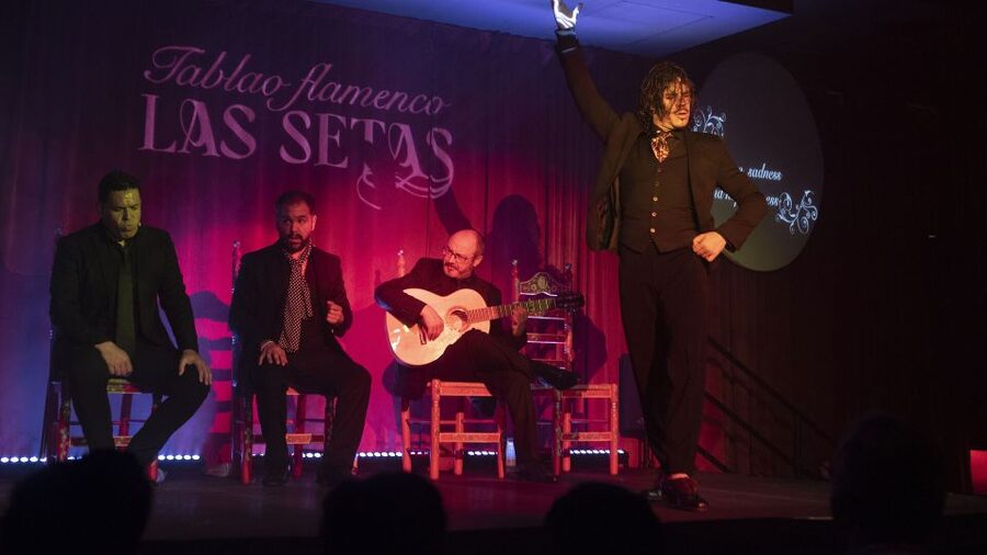 Seville: Flamenco Show & Roof Dinner with Cathedral Views - A Seville evening with a clear rhythm