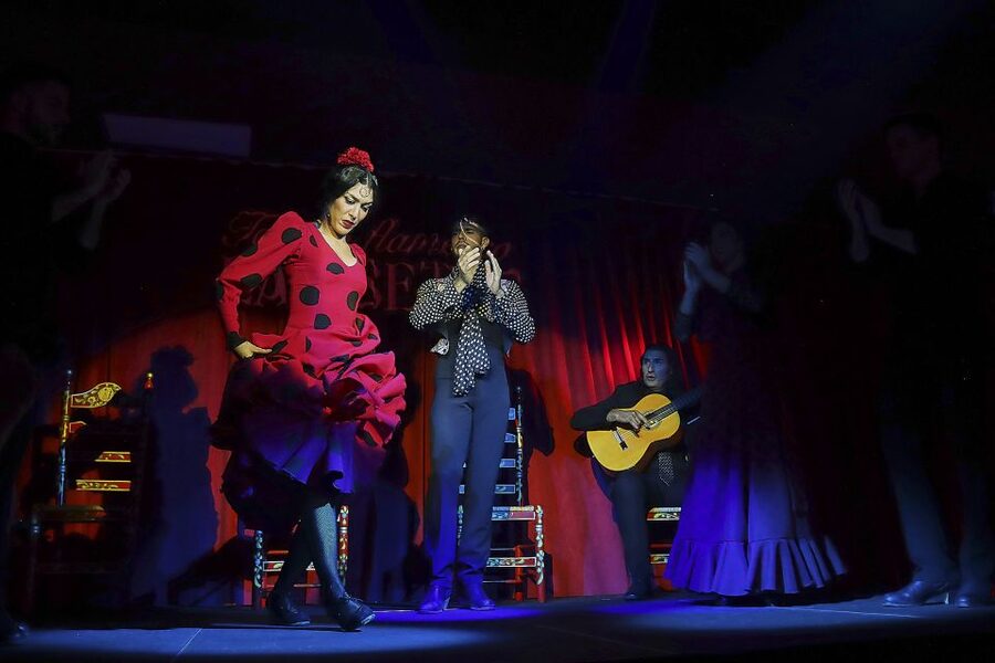 Seville: Flamenco Show Ticket at Tablao Flamenco Las Setas - Who will enjoy this show most?
