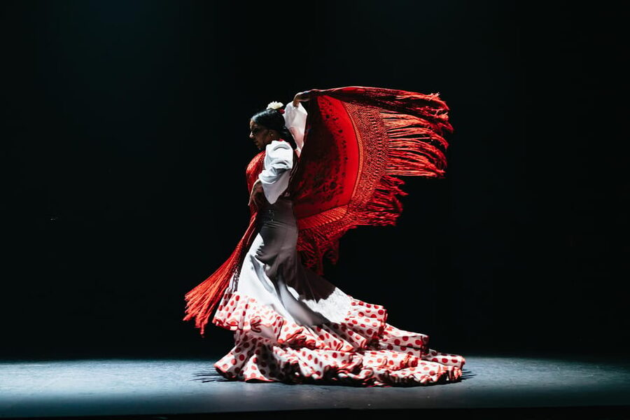 Seville: Live Flamenco Dancing Show Ticket at the Theater - The opening moments: guitar, voice, and anticipation