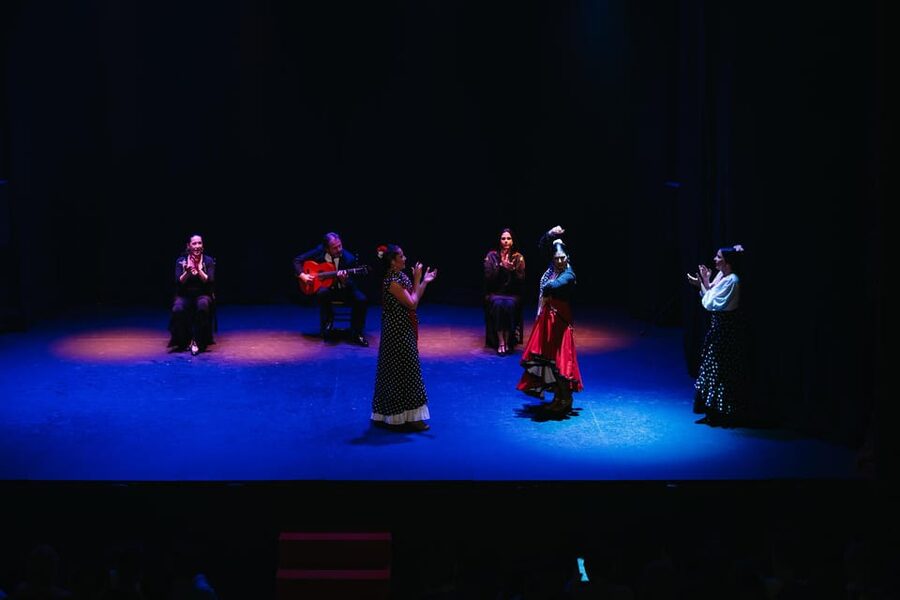 Seville: Live Flamenco Dancing Show Ticket at the Theater - What makes the one-hour format work