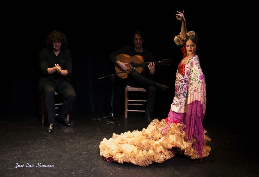 Seville: Live Flamenco Show at "Teatro Flamenco Triana" - The dancers, singers, and guitarist