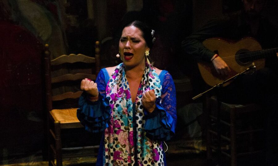 Seville: Live Flamenco Show at "Teatro Flamenco Triana" - Is $28 good value?